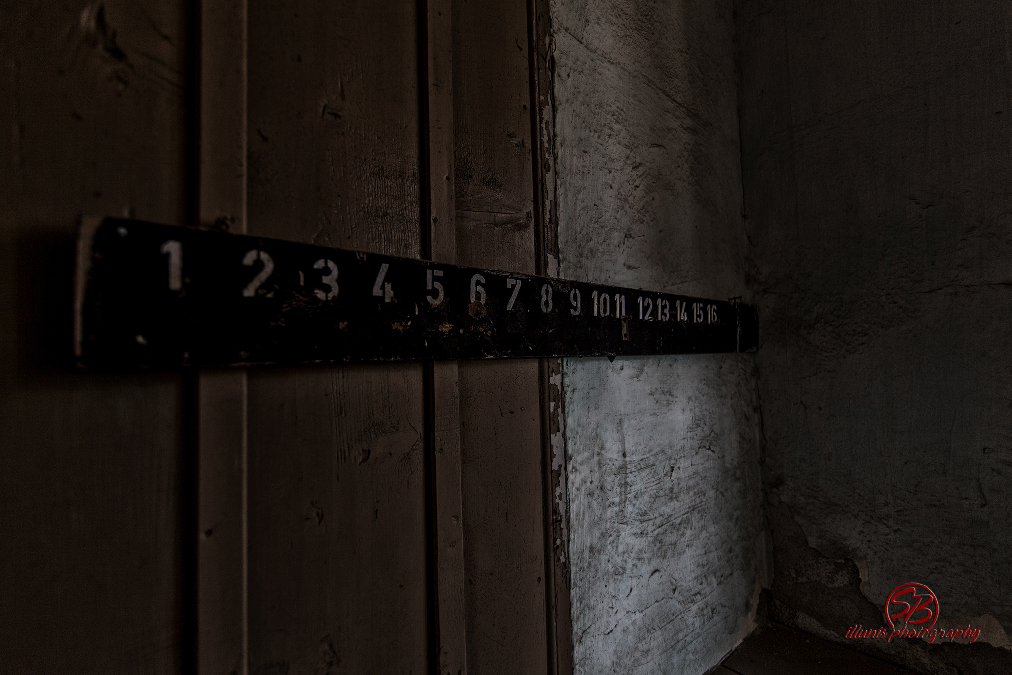 IMG 2940