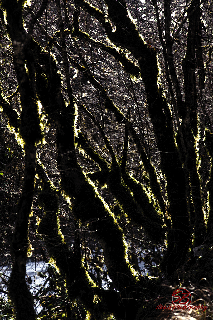 Playing with light