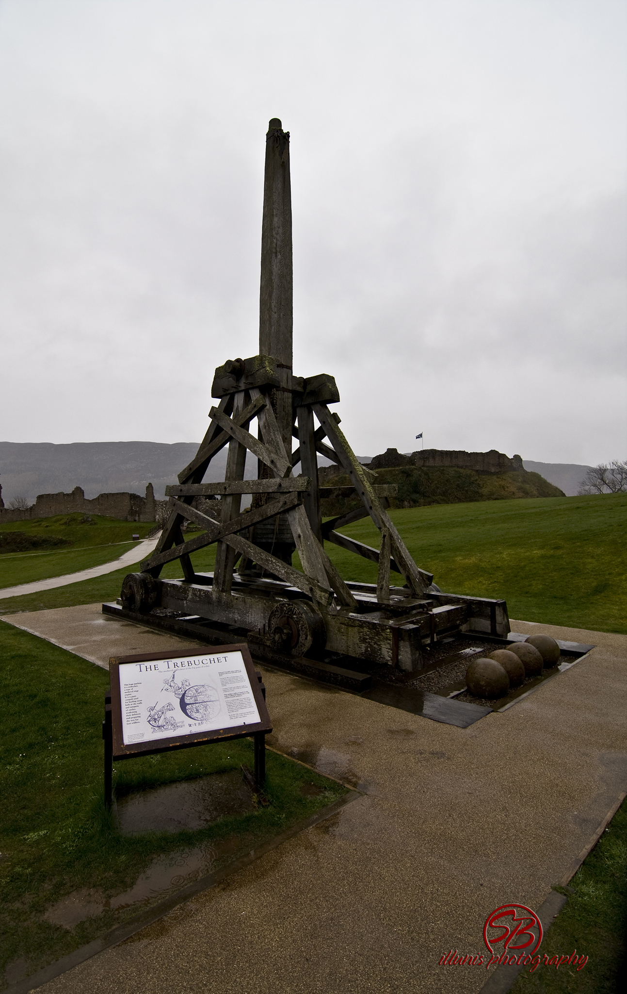 IMG 3163