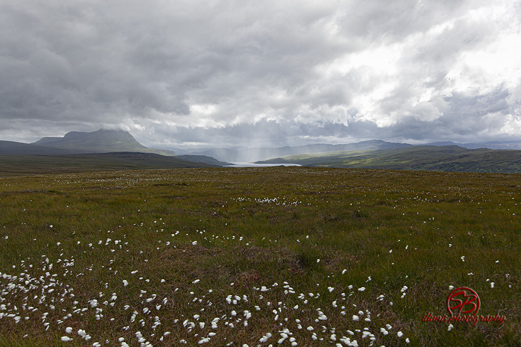 Vast sutherland