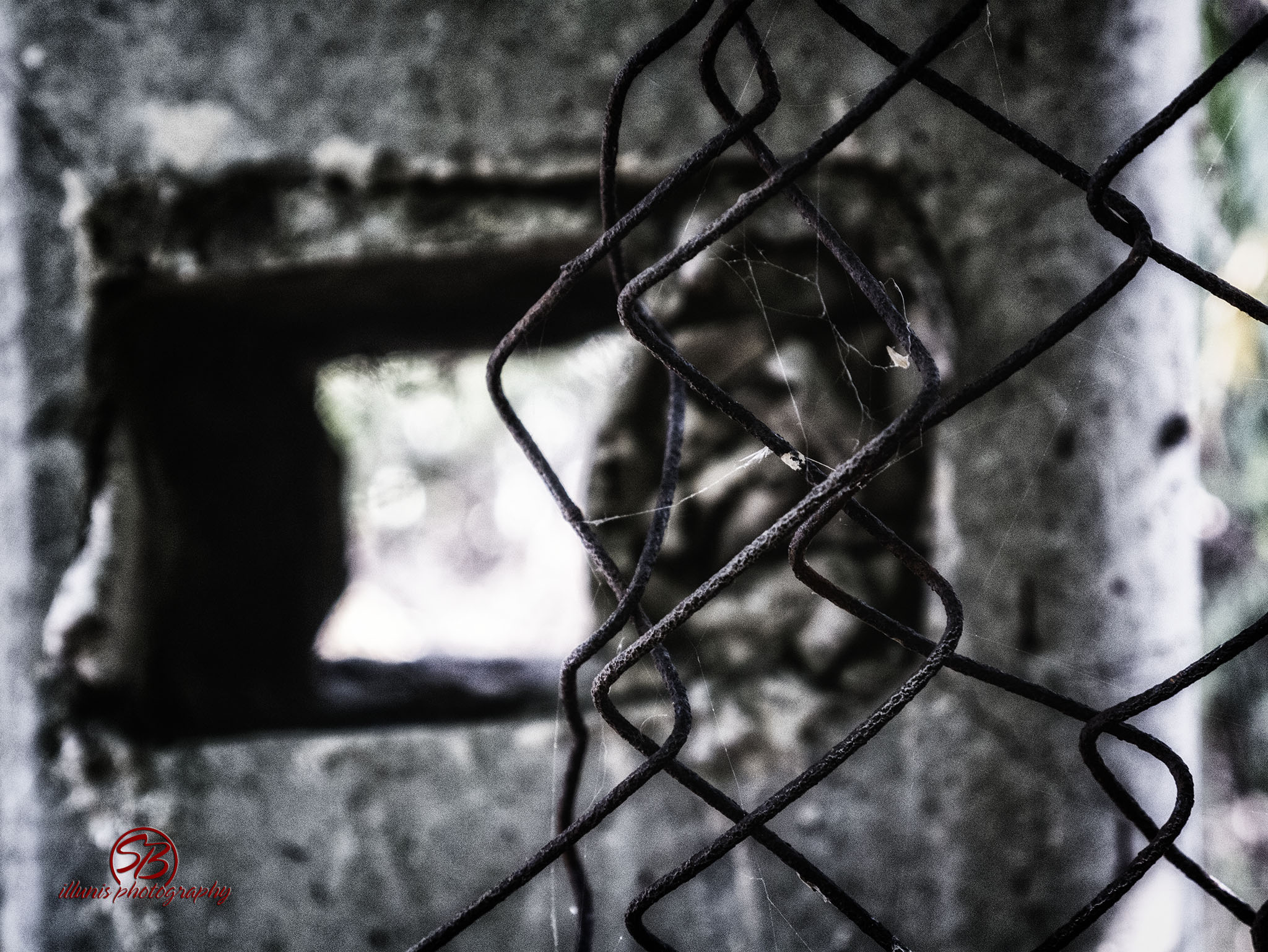 Wire